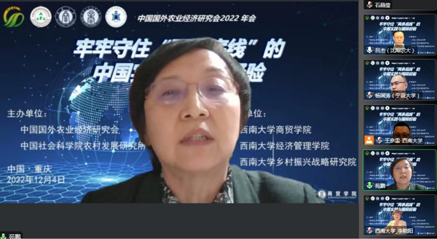 照片4:中国国外农业经济研究会会长苑鹏在闭幕会上致辞.jpg
