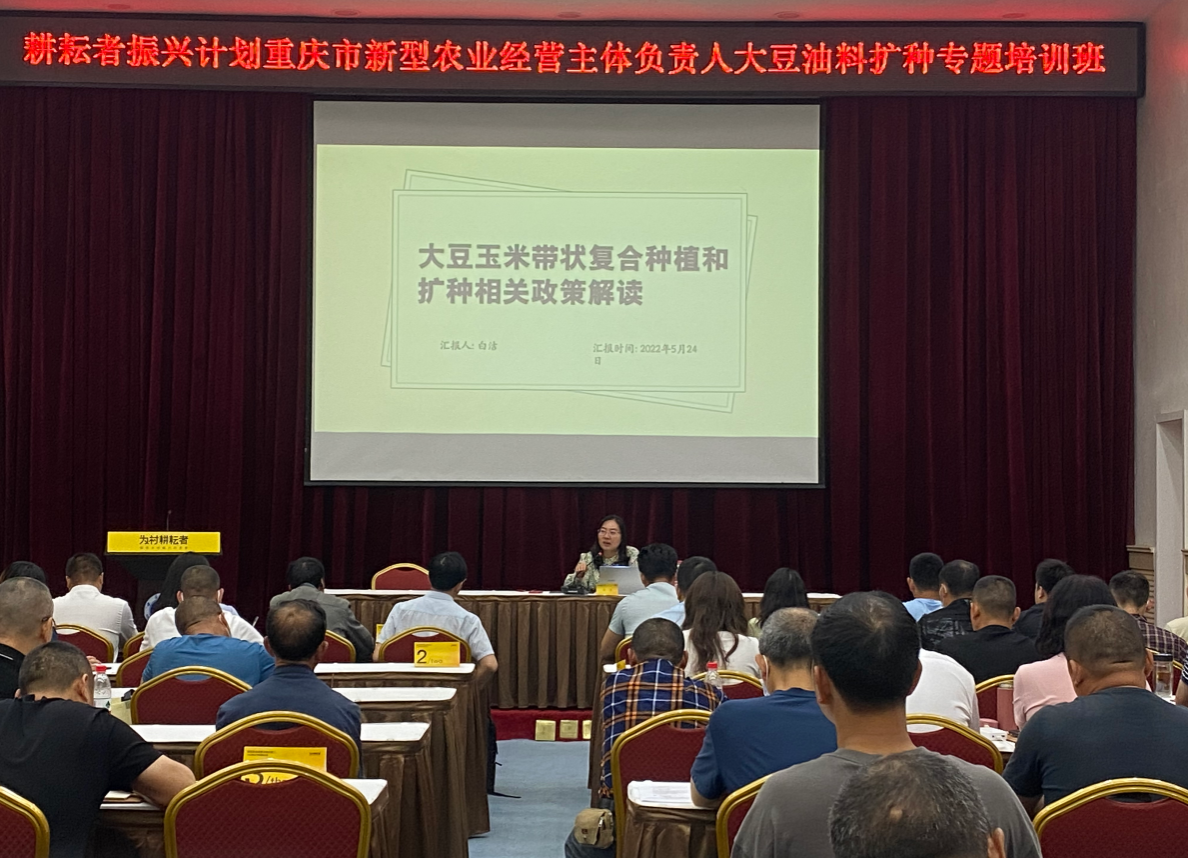 图五:重庆市农业农村委粮油处处长白洁发言.png