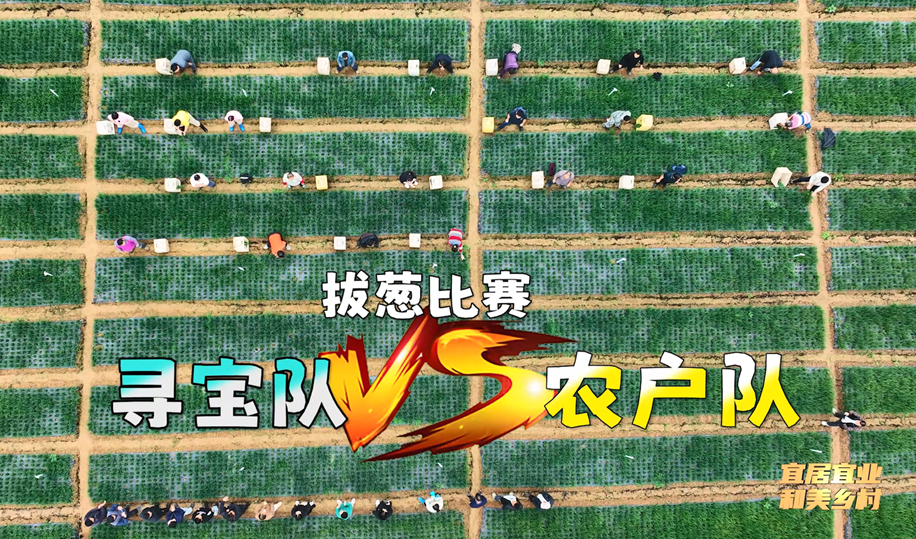 8.png