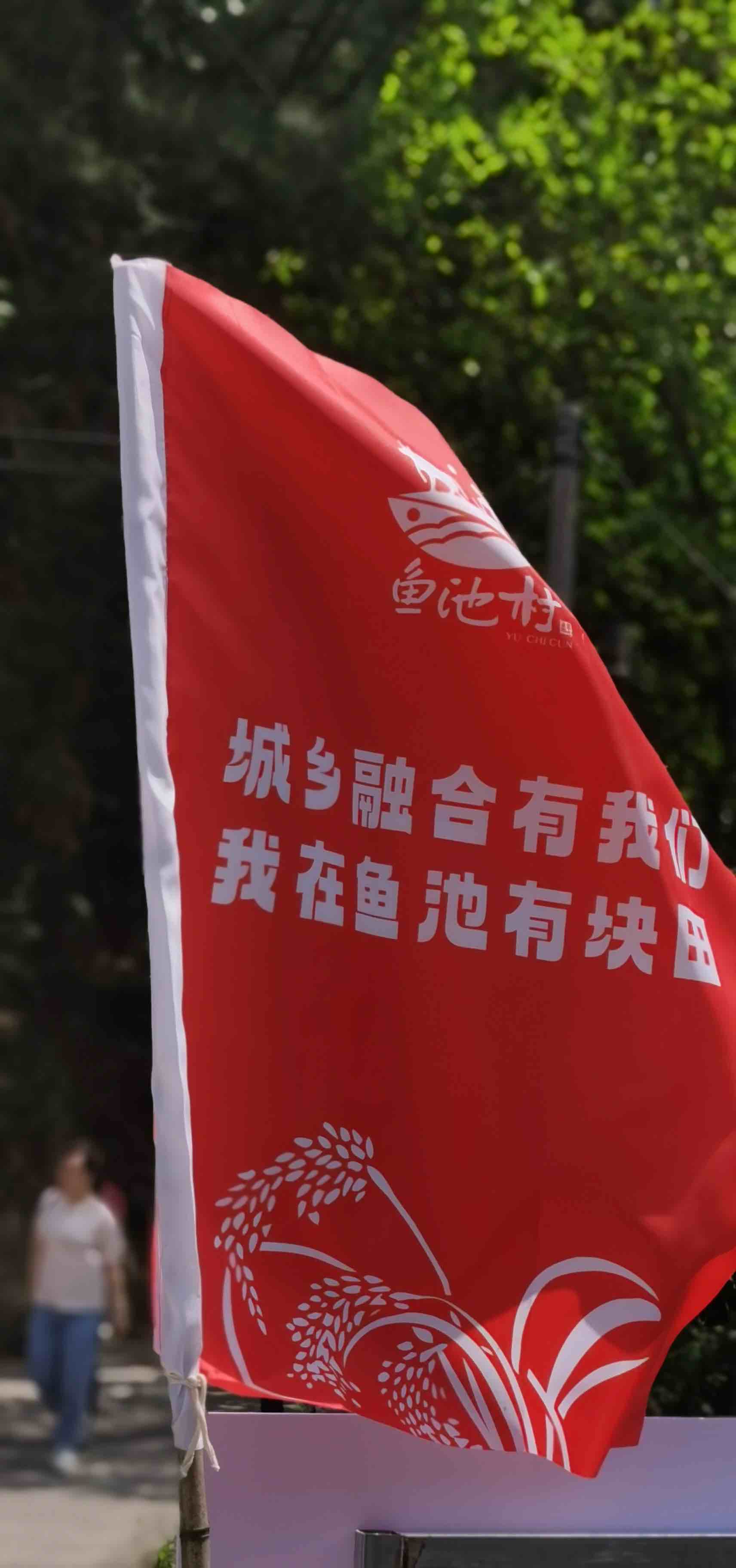图13.jpg