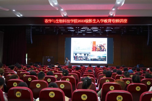 图2(1).jpg