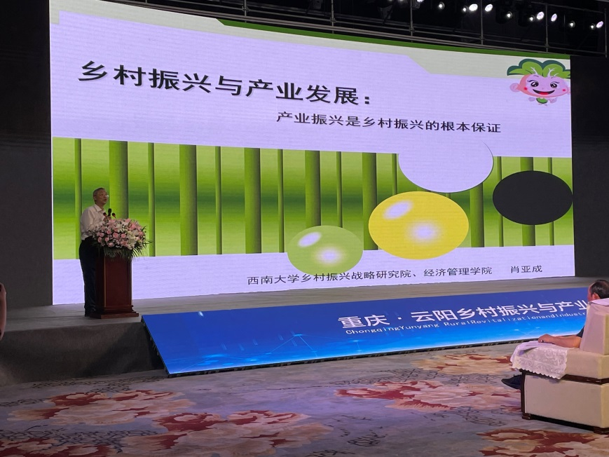 云阳照片4.png